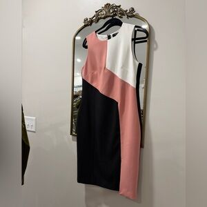 White House Black Market Pink and Black Dress